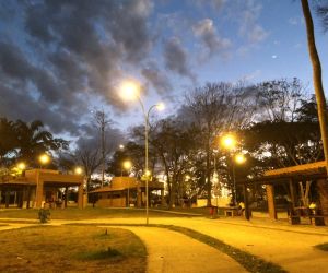 BOSQUE MUNICIPAL (0709455001774470521).jpg